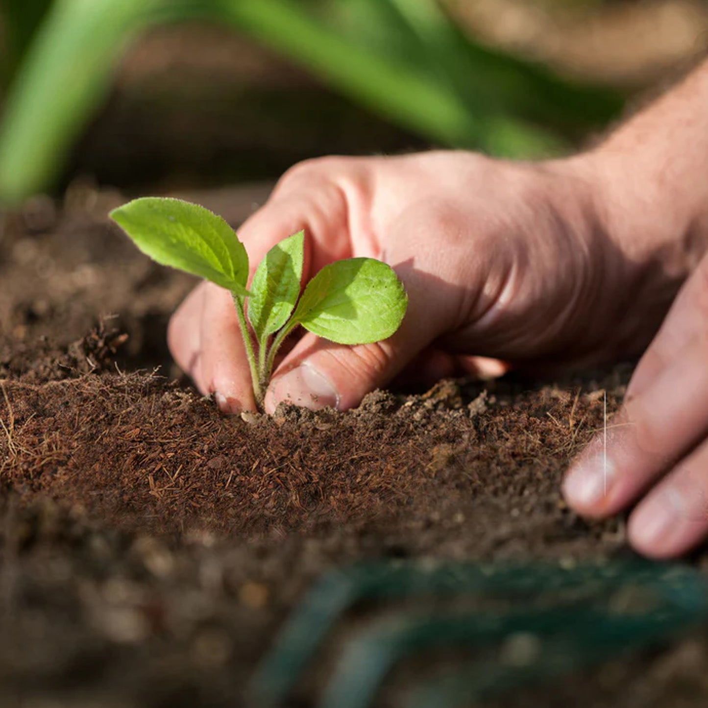 Eco-Friendly Cocopeat Block - 1 Kg Soil Manure for Potted Plants