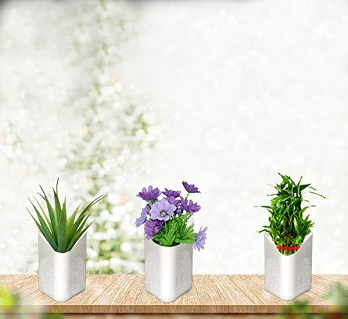 Colorful Vertical Planter – Multicolour Hanging Pots for Your Garden