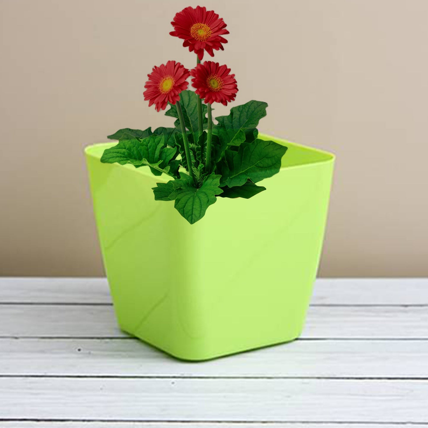 Stylish Square Plant Pots | Great for Home and Garden Decor