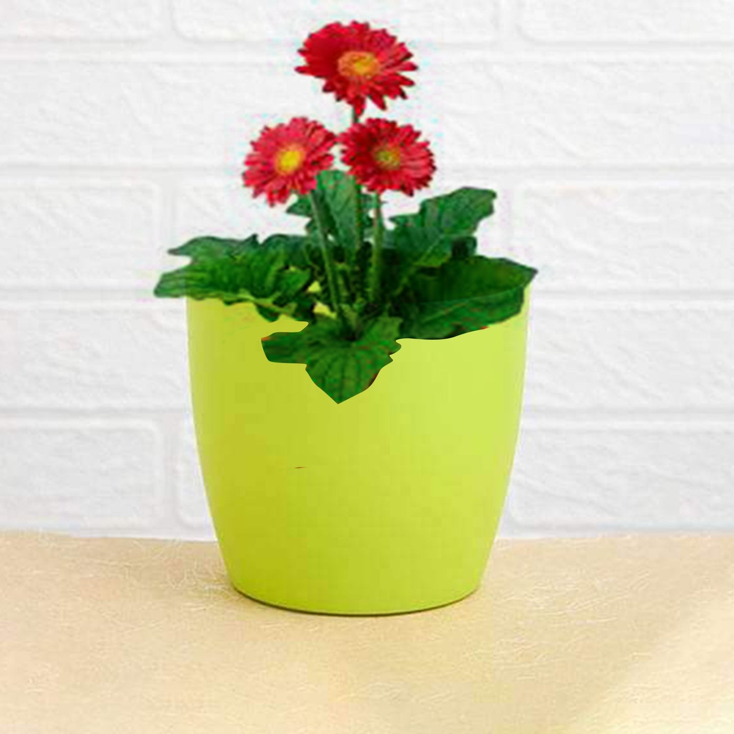 Versatile Round Planters | Ideal for Indoor and Outdoor Use