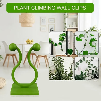 Plant Climbing Wall Fixture Clips - Self-Adhesive Hooks for Vines (100 Pcs Set)