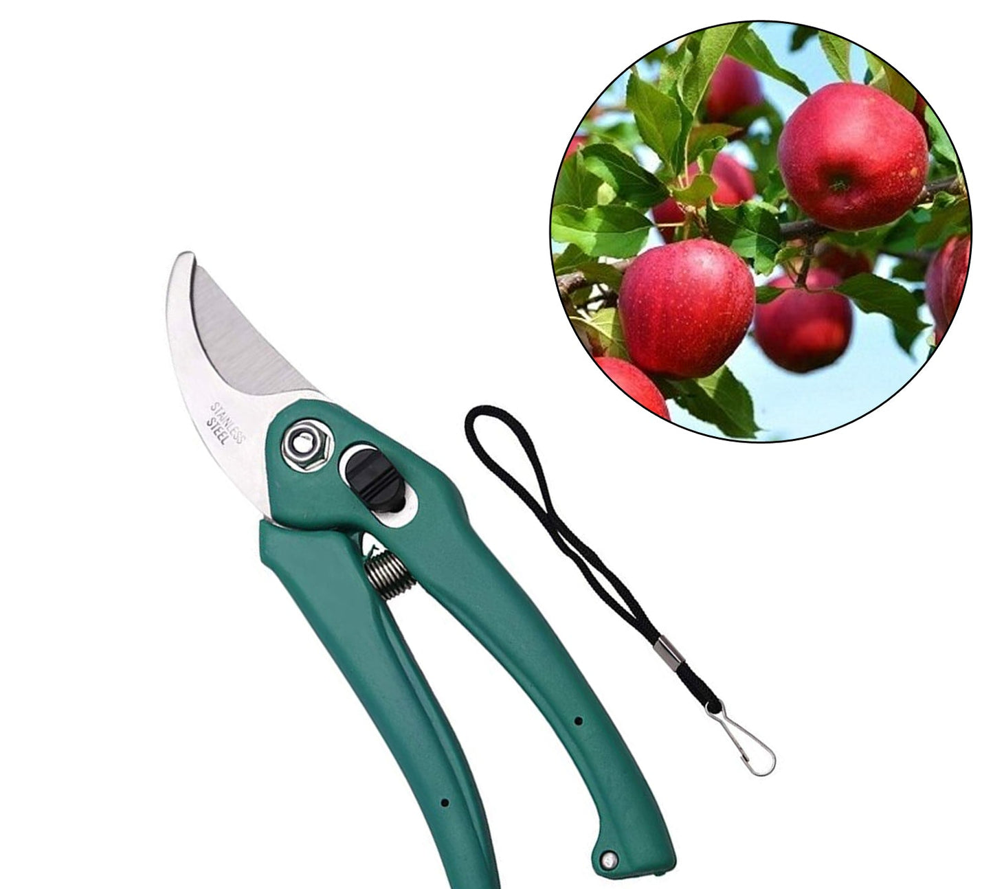 Garden Shears Pruners | Precision Scissors for Cutting Branches, Flowers, Leaves, and Pruning Seeds