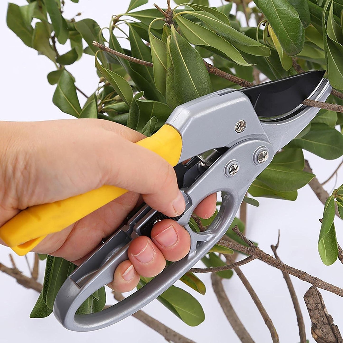 Pruning Shears - Enhanced Garden Shears with Ergonomic Labour-Saving Handle (200 MM / 1 Pc)