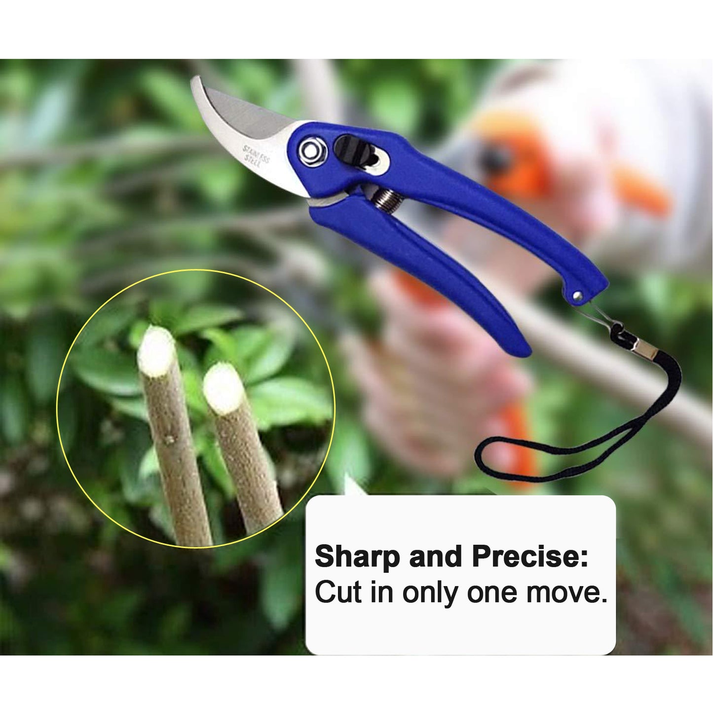 Garden Shears Pruners | Precision Scissors for Cutting Branches, Flowers, Leaves, and Pruning Seeds