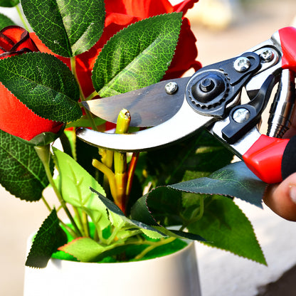 Sharp 21cm Red Garden Shears - Perfect Pruning Tool