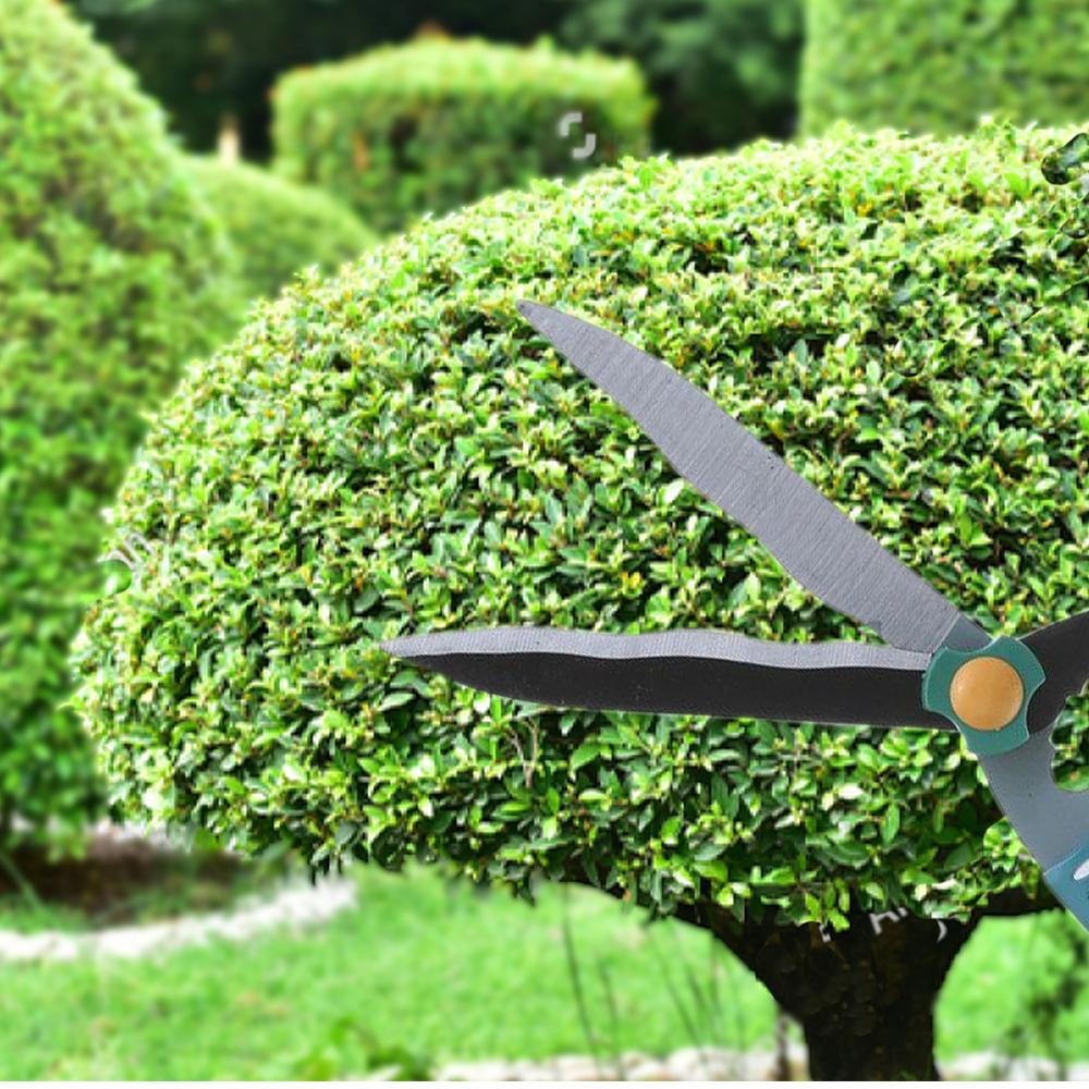 Heavy-Duty Garden Scissors | Ideal for Pruning and Trimming