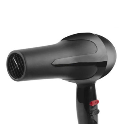 Nirvani 1500 Watt Professional Hair Dryer 2888 (Black)