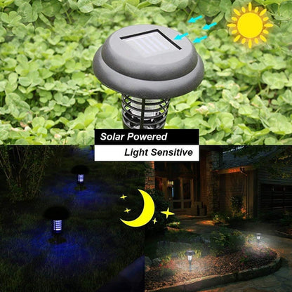 Medium UV LED Solar Powered Mosquito Trap/Bug Zapper (1 Pc)