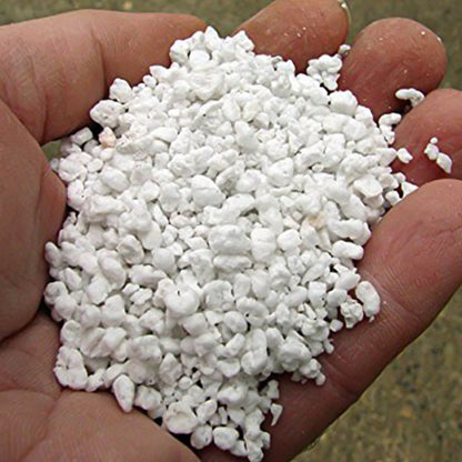 Paradise Perlite for Hydroponics & Horticulture - Soil Conditioner for Healthy Root Growth and Aeration (250 GM)