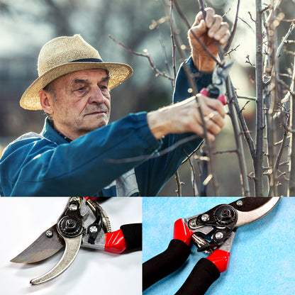 Sharp 21cm Red Garden Shears - Perfect Pruning Tool