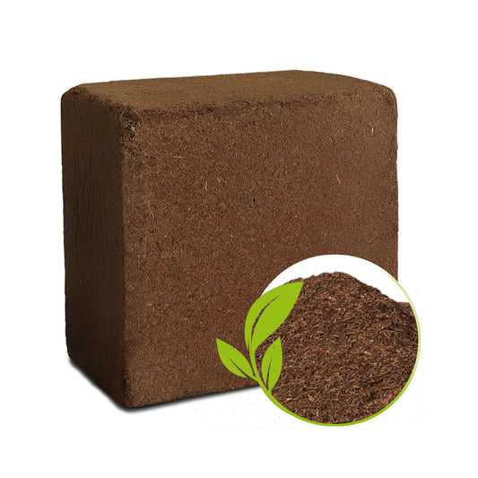 Eco-Friendly Cocopeat Block - 1 Kg Soil Manure for Potted Plants